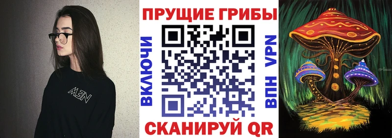 площадка клад  продажа наркотиков  Лиски  Галлюциногенные грибы MAGIC MUSHROOMS 